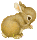 Vintage art of a baby bunny washing its face.