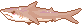 A pixel of a brown shark.